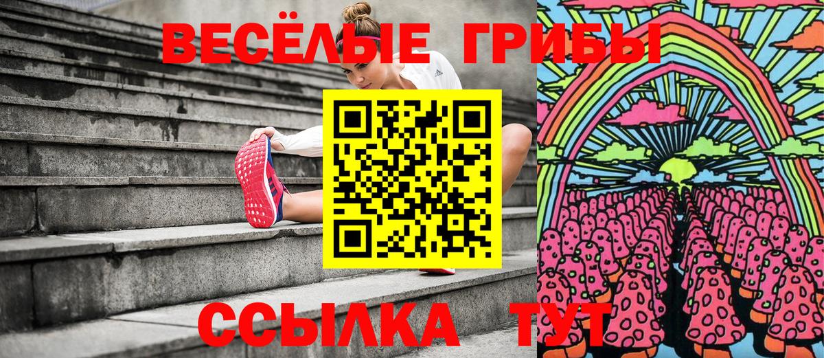 Петрозаводск  Галлюциногенные грибы Psilocybe  Вход с VPN 